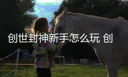 大全攻略怎么玩 新手创世创世封神封神
